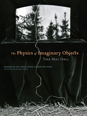 The Physics of Imaginary Objects - ebook